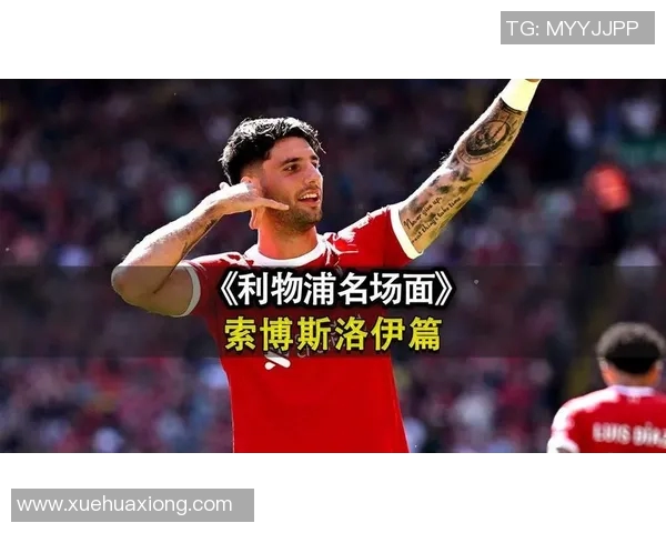 探索索博斯洛伊的历史与文化遗产之旅：揭示这座城市的独特魅力与故事