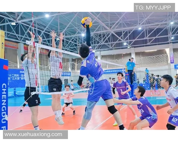 成都排球队实力分析与发展前景探讨聚焦排球运动的未来潜力MBA 成都排球队实力分析与发展前景探讨聚焦排球运动的未来潜力MBA