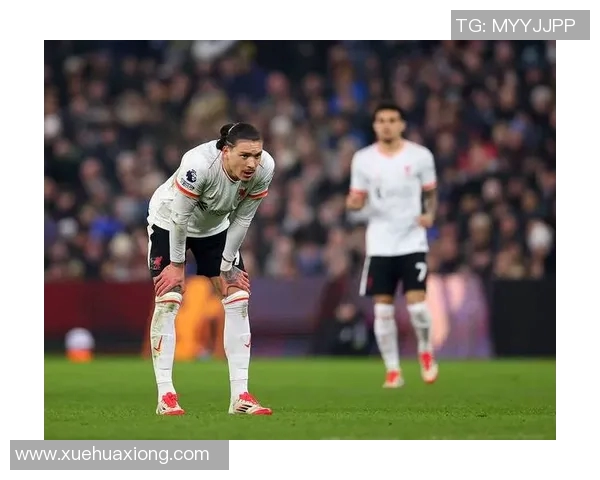 努涅斯在赛场上的精彩表现与未来发展潜力分析 努涅斯在赛场上的精彩表现与未来发展潜力分析