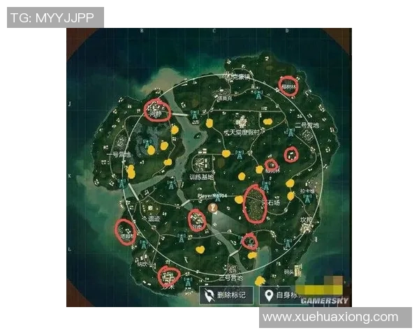 和平精英战术解析：深入探讨JDG边路渗透体系的成功之道MBA