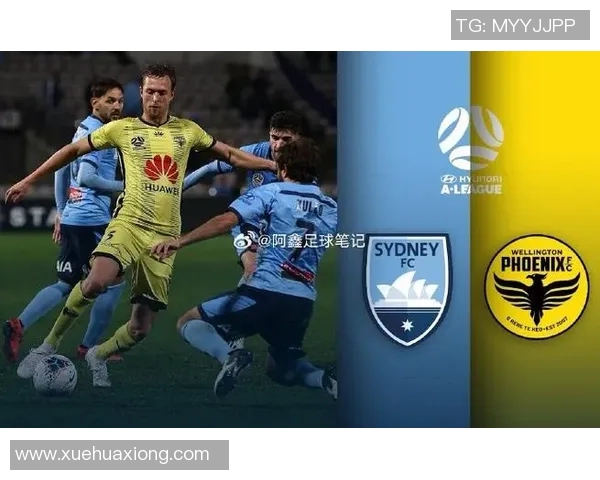 惠灵顿与悉尼足球对决比分预测分析及赛前展望