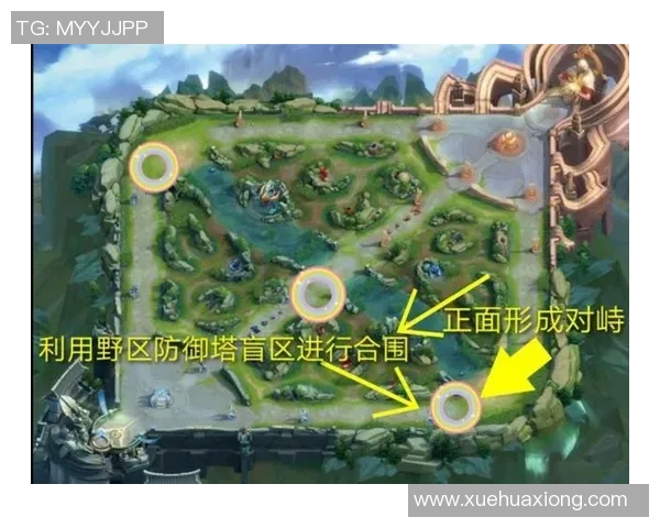 王者荣耀战术解析:深入探讨LNG战队的区域防守策略与执行