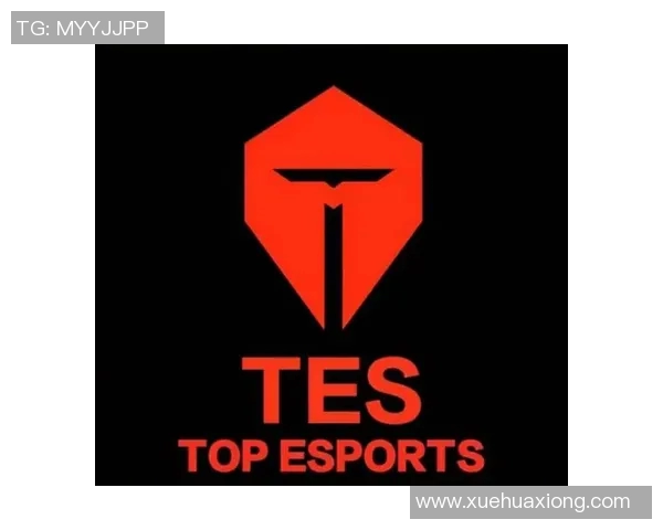 职业联赛最新积分榜TES战队以90分稳居第一名引发关注