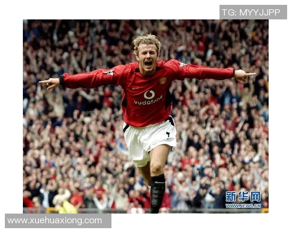 谢什科的传奇人生与足球生涯背后的故事与启示