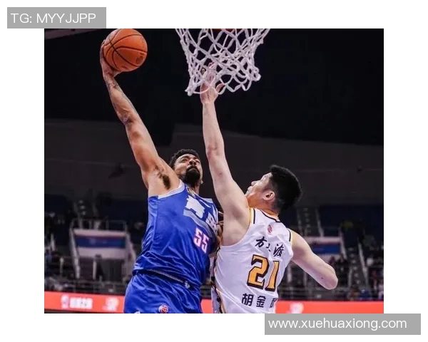 辽宁男篮与泽蒙精彩对决全场录像回放及精彩瞬间分析