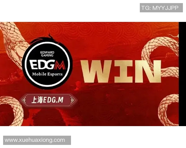 王者荣耀热点分析：深入探讨EDG战队的运营策略与发展方向