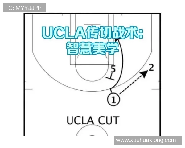 深入剖析北京足球队战术表现的关键数据与趋势分析